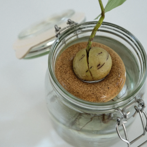 Bouée pour avocat