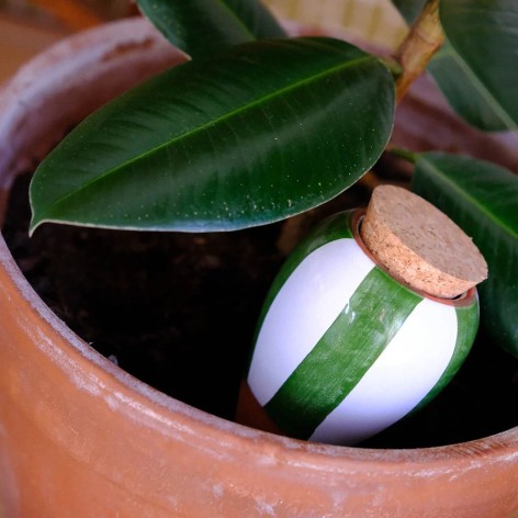 Olla