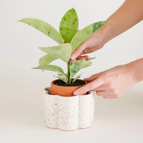 Pot autonome