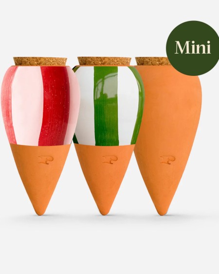 Trio Mini Olla