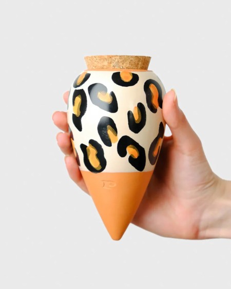 Olla
