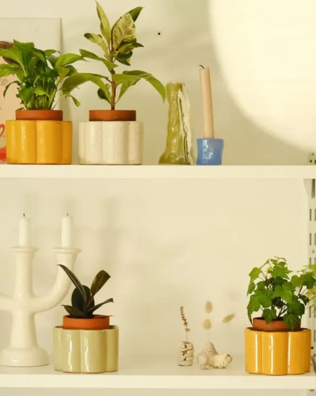 Pot autonome