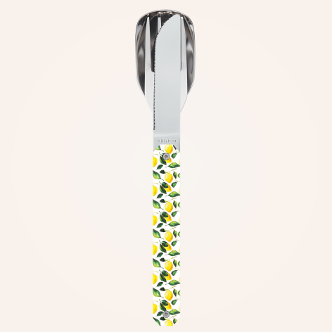 Set de couverts transporatbles